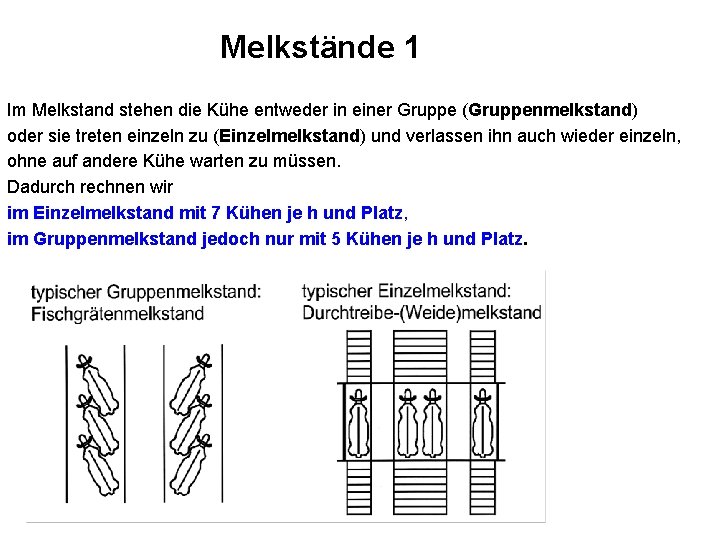 Melkstände 1 Im Melkstand stehen die Kühe entweder in einer Gruppe (Gruppenmelkstand) oder sie