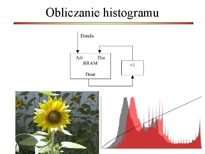 Obliczanie histogramu 