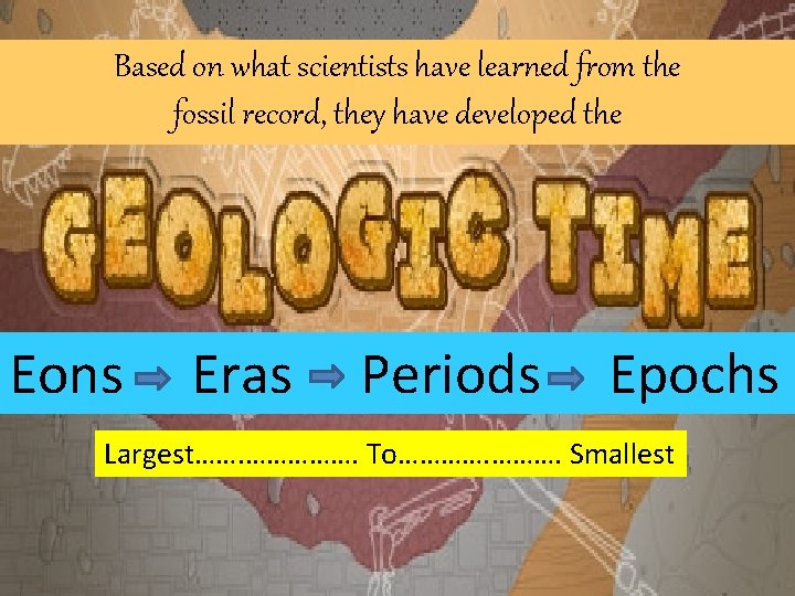 Based on what scientists have learned from the fossil record, they have developed the