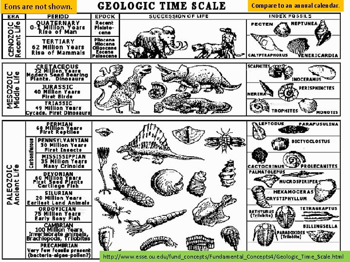 Eons are not shown. Cont. Geologic Time Scale Compare to an annual calendar. http: