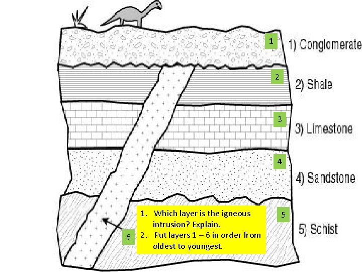 1 2 3 4 6 1. Which layer is the igneous intrusion? Explain. 2.
