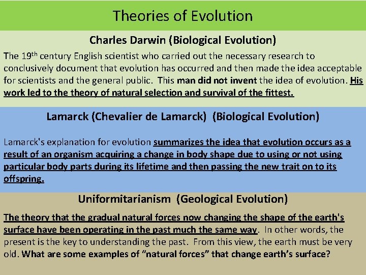 Theories of Evolution Charles Darwin (Biological Evolution) The 19 th century English scientist who