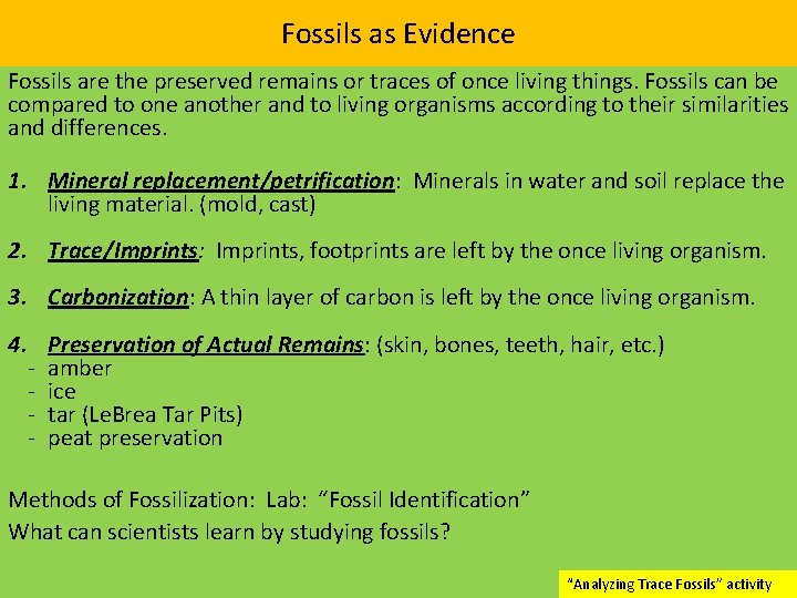 Fossils as Evidence Fossils are the preserved remains or traces of once living things.