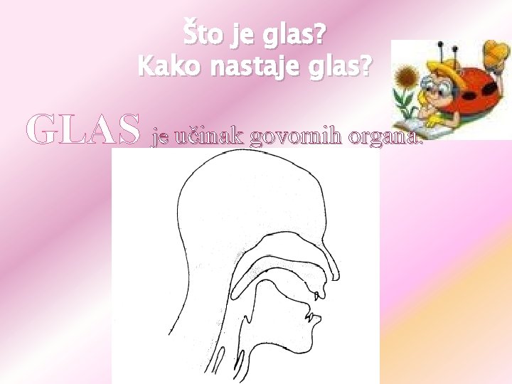 Što je glas? Kako nastaje glas? GLAS je učinak govornih organa. 