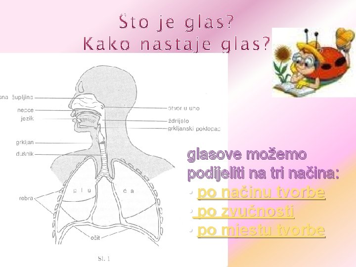 glasove možemo podijeliti na tri načina: • po načinu tvorbe • po zvučnosti •