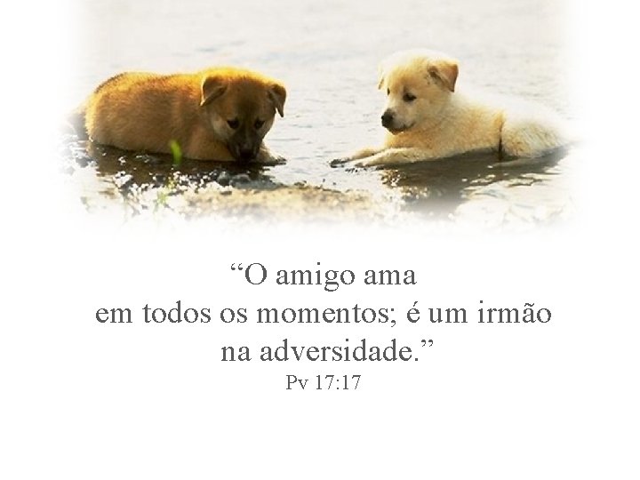 “O amigo ama em todos os momentos; é um irmão na adversidade. ” Pv