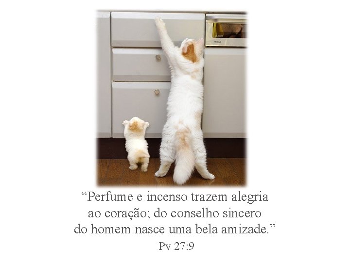 “Perfume e incenso trazem alegria ao coração; do conselho sincero do homem nasce uma