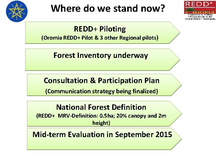 Where do we stand now? REDD+ Piloting (Oromia REDD+ Pilot & 3 other Regional