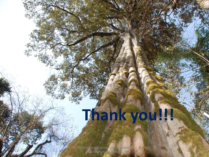 Thank you!!! 12/4/2020 Oromia Steering Committee First Meeting, Rose-Mary Hotel, Bishoftu Thank you!!! 12/4/2020 Oromia Steering Committee First Meeting, Rose-Mary Hotel, Bishoftu