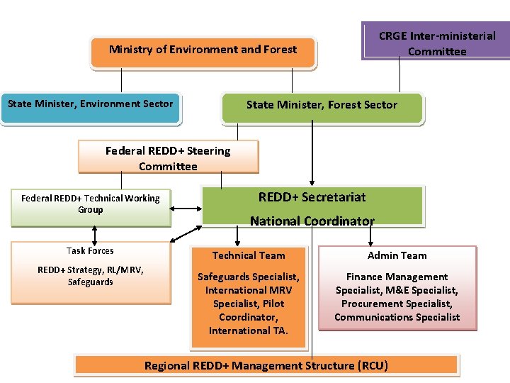 CRGE Inter-ministerial Committee Ministry of Environment and Forest State Minister, Forest Sector State Minister,