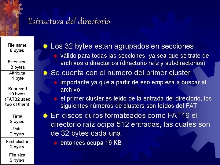 Estructura del directorio ® Los 32 bytes estan agrupados en secciones ® ® Se