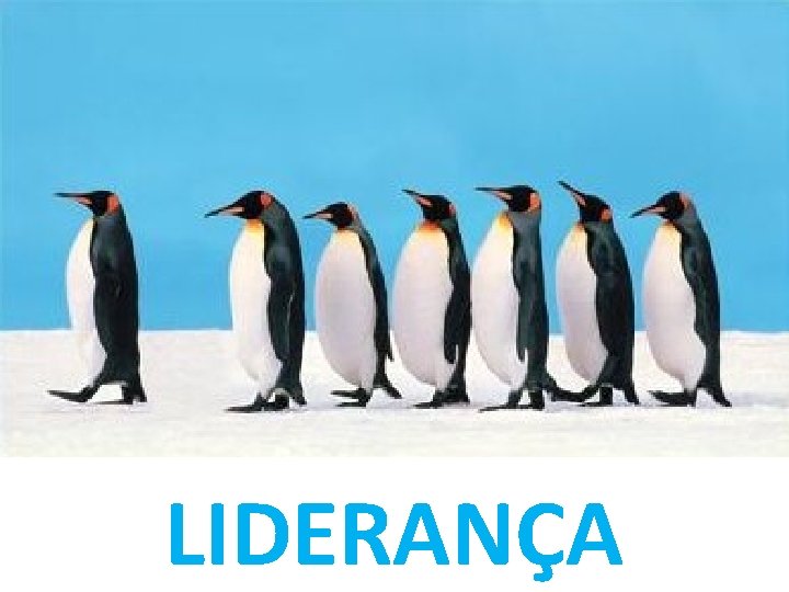 LIDERANÇA 