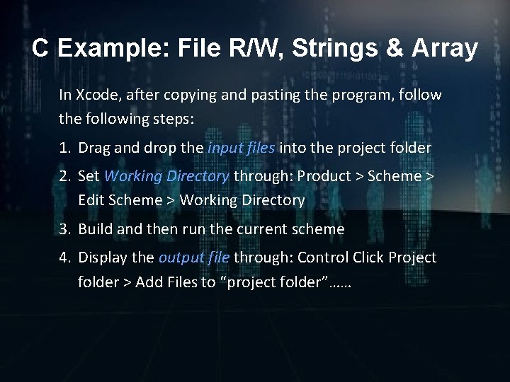 C Example: File R/W, Strings & Array In Xcode, after copying and pasting the