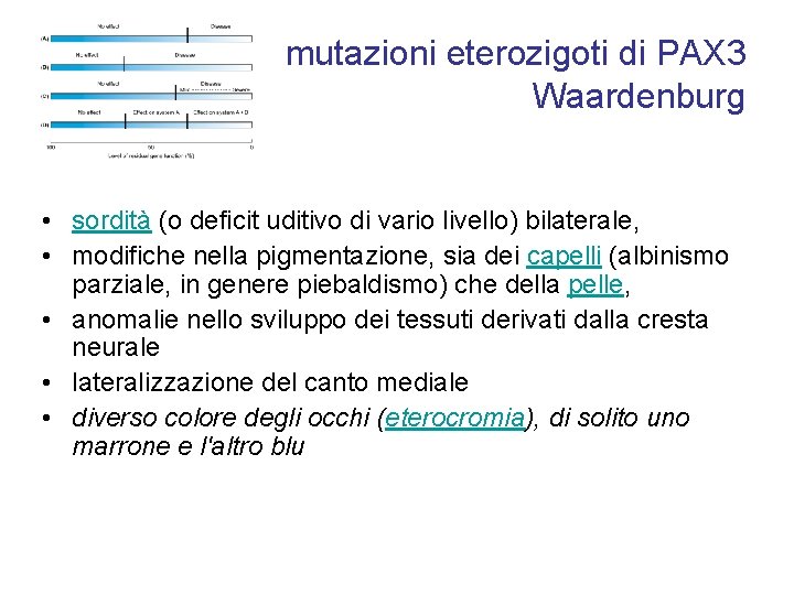 mutazioni eterozigoti di PAX 3 Waardenburg • sordità (o deficit uditivo di vario livello)