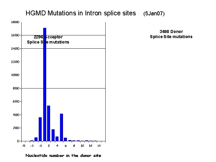 HGMD Mutations in Intron splice sites (5 Jan 07) 2296 Acceptor Splice Site mutations