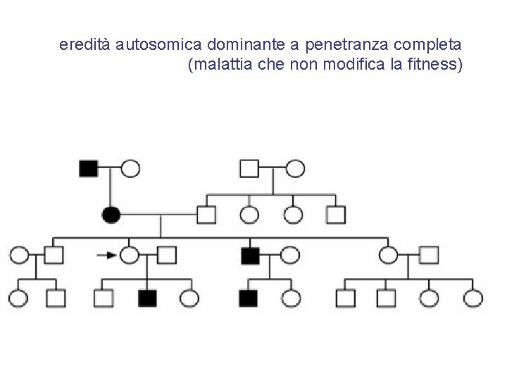 eredità autosomica dominante a penetranza completa (malattia che non modifica la fitness) 