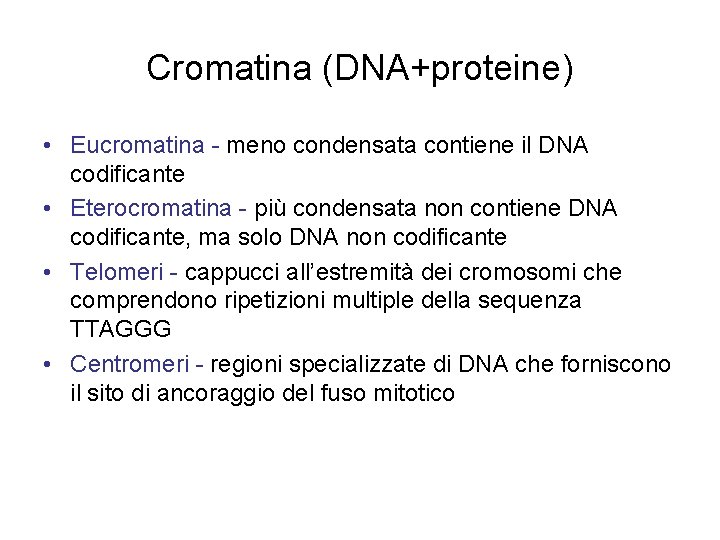 Cromatina (DNA+proteine) • Eucromatina - meno condensata contiene il DNA codificante • Eterocromatina -