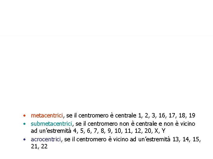  • metacentrici, se il centromero è centrale 1, 2, 3, 16, 17, 18,