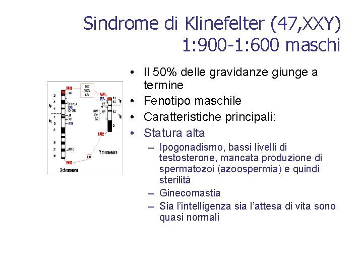 Sindrome di Klinefelter (47, XXY) 1: 900 -1: 600 maschi • Il 50% delle