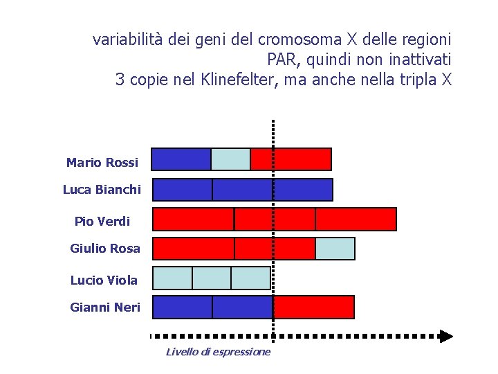 variabilità dei geni del cromosoma X delle regioni PAR, quindi non inattivati 3 copie