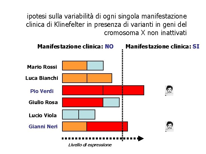 ipotesi sulla variabilità di ogni singola manifestazione clinica di Klinefelter in presenza di varianti