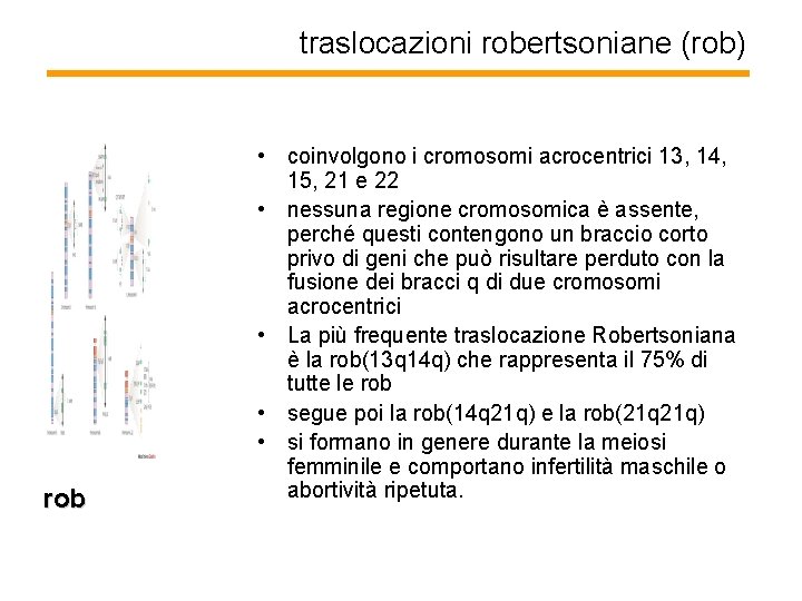 traslocazioni robertsoniane (rob) rob • coinvolgono i cromosomi acrocentrici 13, 14, 15, 21 e