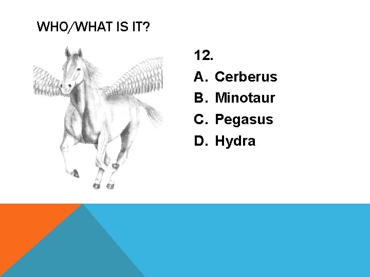 WHO/WHAT IS IT? 12. A. Cerberus B. Minotaur C. Pegasus D. Hydra 