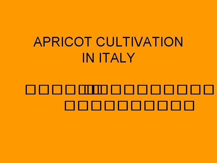 APRICOT CULTIVATION IN ITALY ����������� 