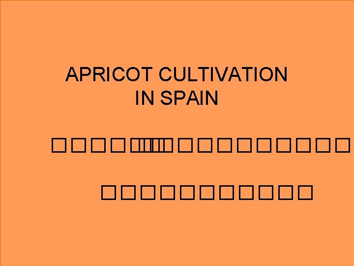 APRICOT CULTIVATION IN SPAIN ������������ 