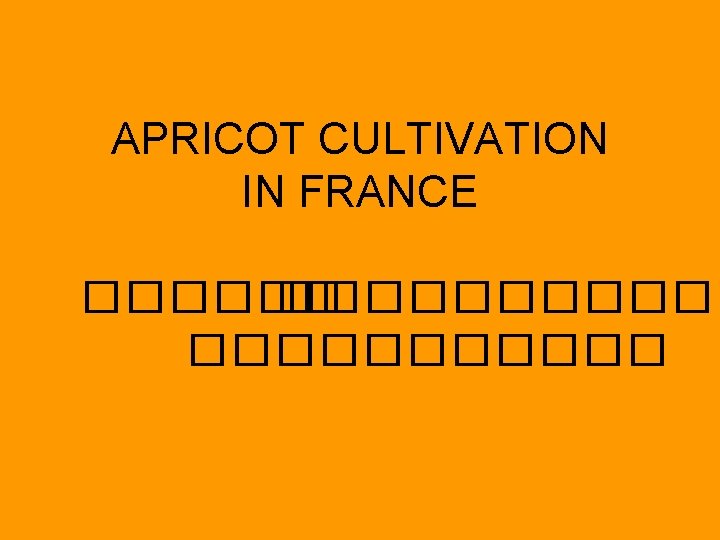 APRICOT CULTIVATION IN FRANCE ����������� 
