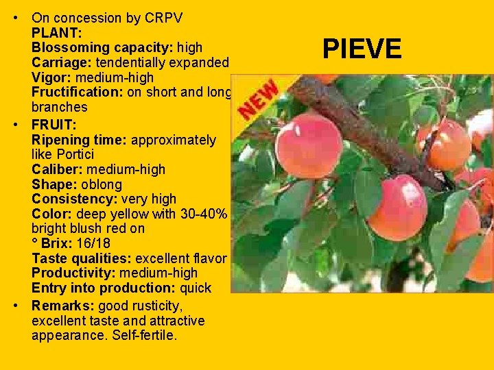  • On concession by CRPV PLANT: Blossoming capacity: high Carriage: tendentially expanded Vigor: