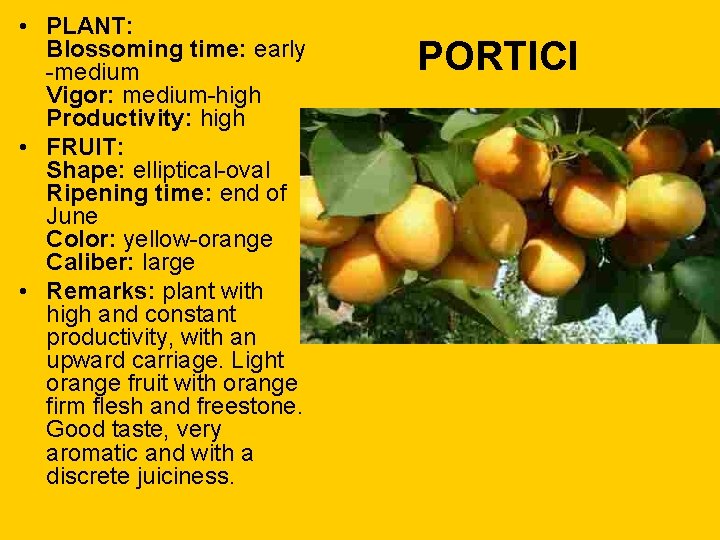  • PLANT: Blossoming time: early -medium Vigor: medium-high Productivity: high • FRUIT: Shape: