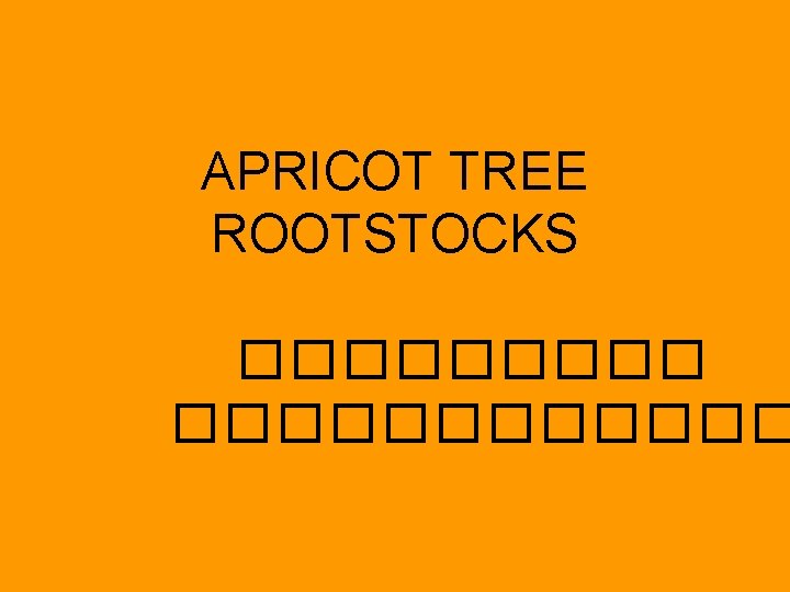 APRICOT TREE ROOTSTOCKS ������������ 