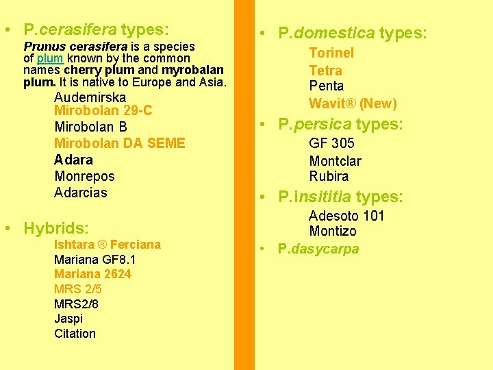  • P. cerasifera types: Prunus cerasifera is a species of plum known by