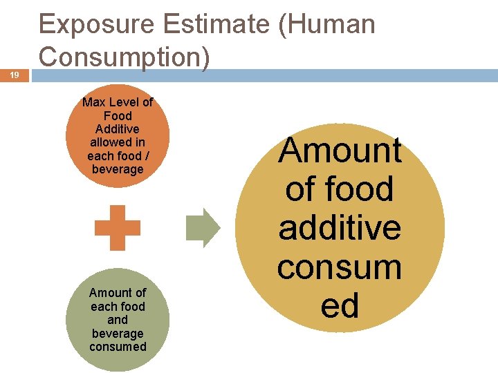 19 Exposure Estimate (Human Consumption) Max Level of Food Additive allowed in each food