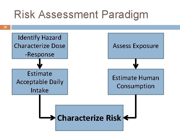 Risk Assessment Paradigm 20 Identify Hazard Characterize Dose -Response Assess Exposure Estimate Acceptable Daily