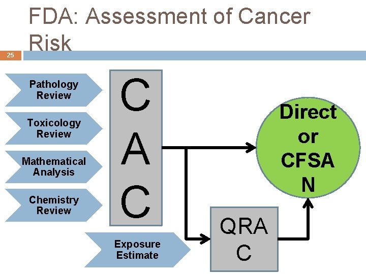 25 FDA: Assessment of Cancer Risk Pathology Review Toxicology Review Mathematical Analysis Chemistry Review