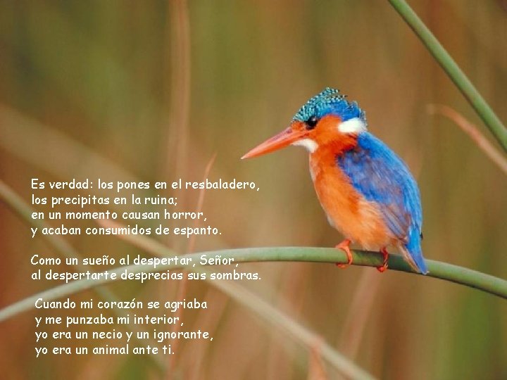 Es verdad: los pones en el resbaladero, los precipitas en la ruina; en un