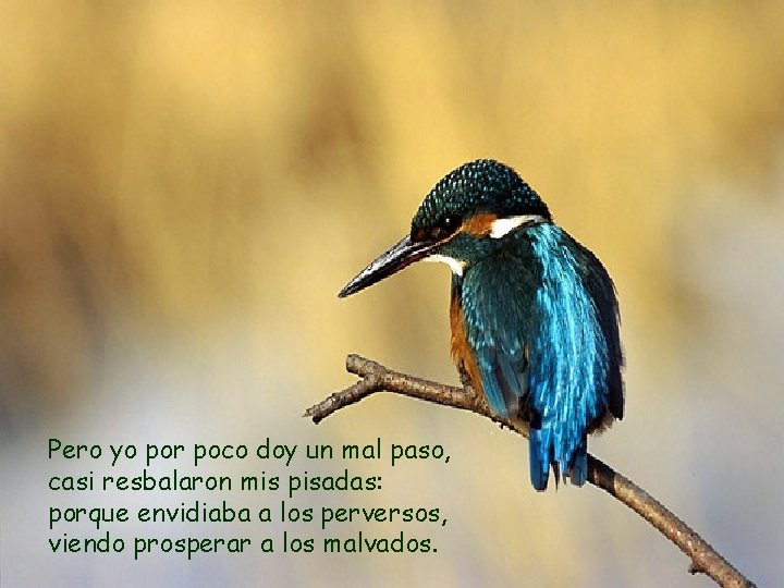 Pero yo por poco doy un mal paso, casi resbalaron mis pisadas: porque envidiaba