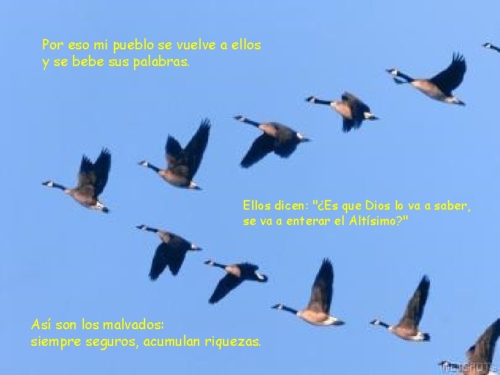 Por eso mi pueblo se vuelve a ellos y se bebe sus palabras. Ellos