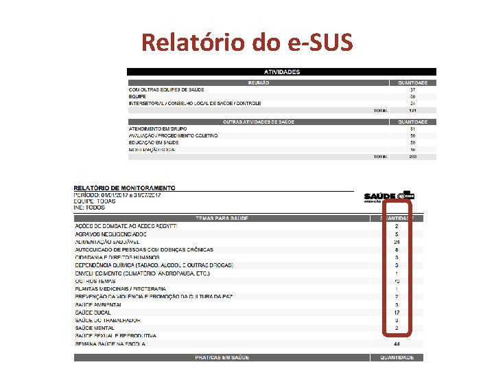 Relatório do e-SUS Relatório do e-SUS