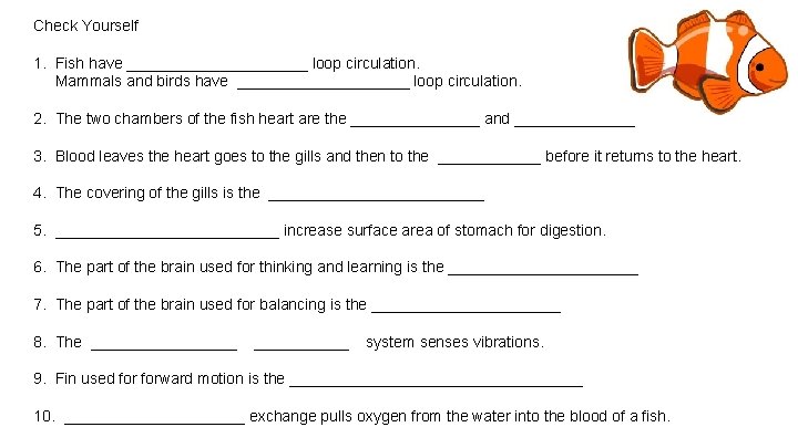 Check Yourself 1. Fish have ___________ loop circulation. Mammals and birds have __________ loop