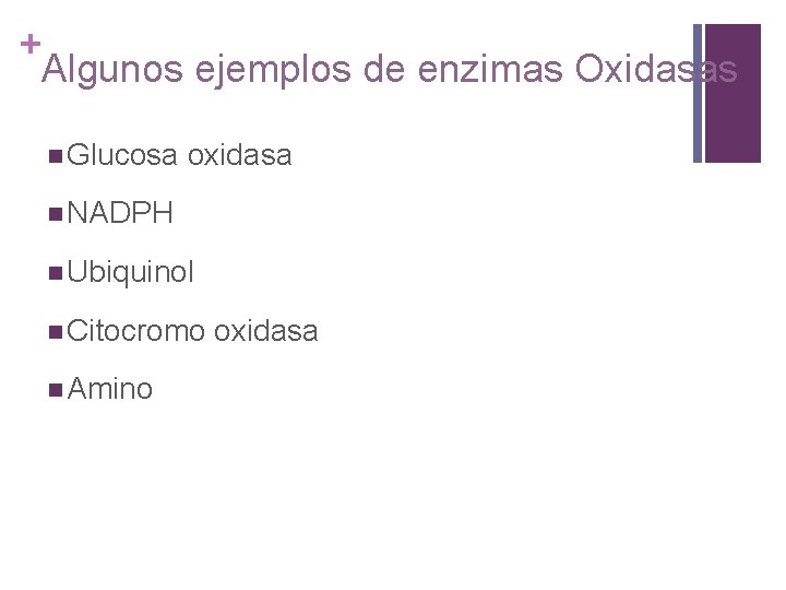 + Algunos ejemplos de enzimas Oxidasas n Glucosa oxidasa n NADPH n Ubiquinol n