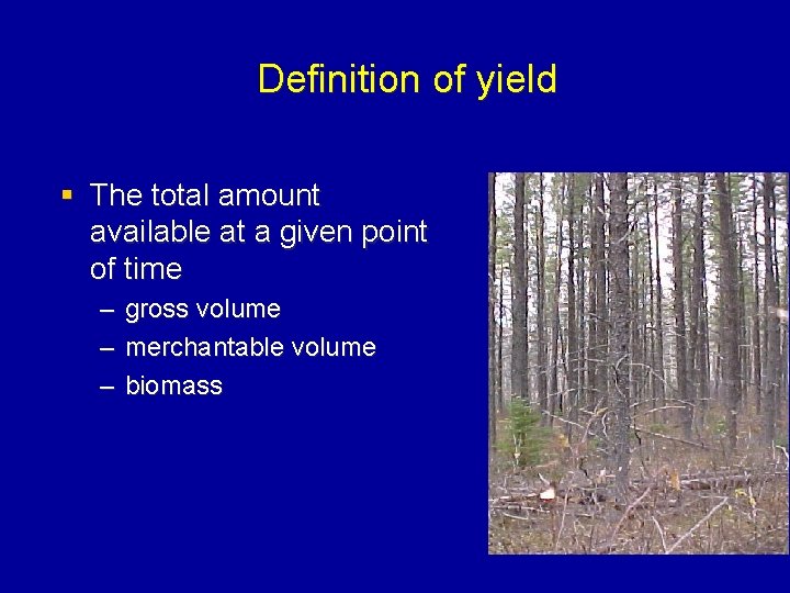 Definition of yield § The total amount available at a given point of time