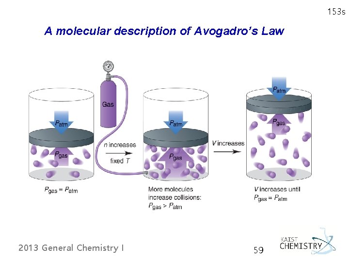 153 s A molecular description of Avogadro’s Law 2013 General Chemistry I 59 