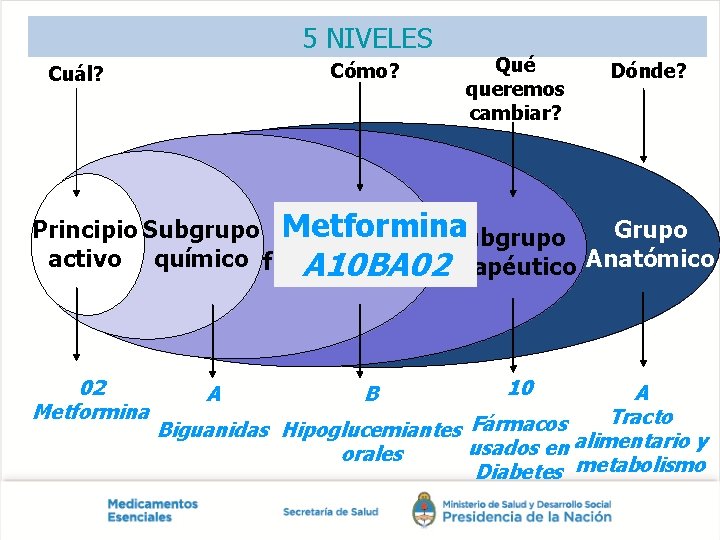 5 NIVELES Cómo? Cuál? Qué queremos cambiar? Dónde? Principio Subgrupo Metformina Grupo Subgrupo activo