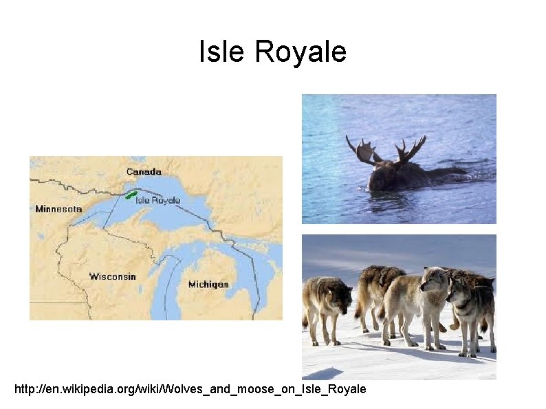 Isle Royale http: //en. wikipedia. org/wiki/Wolves_and_moose_on_Isle_Royale 