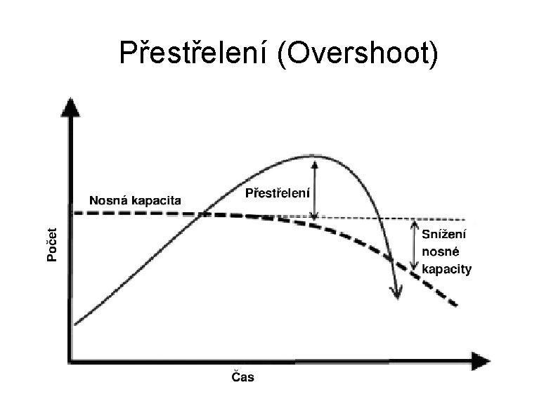 Přestřelení (Overshoot) 