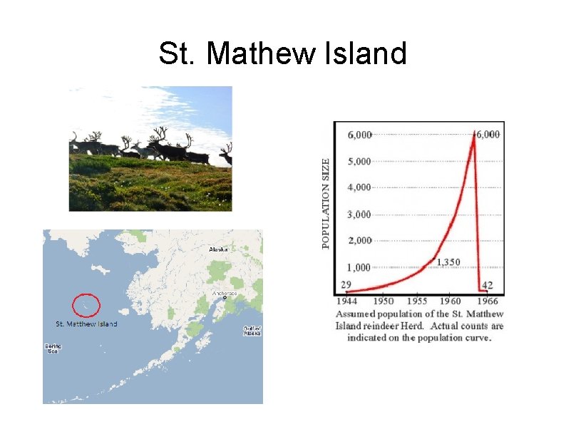 St. Mathew Island 