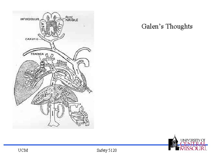 Galen’s Thoughts UCM Safety 5120 